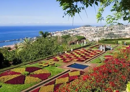 Excellent * Canico (Madeira)