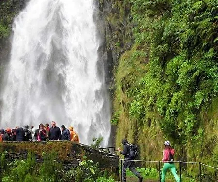 Excellent * Canico (Madeira)
