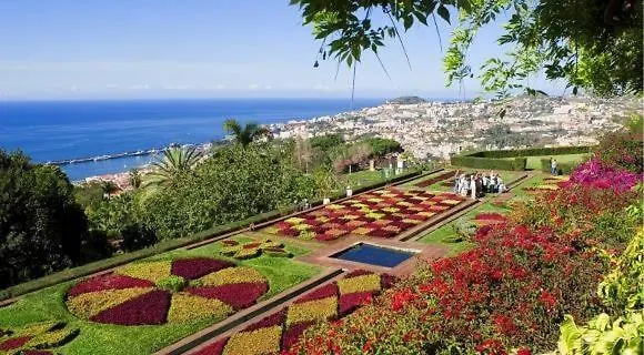 Excellent * 卡尼索